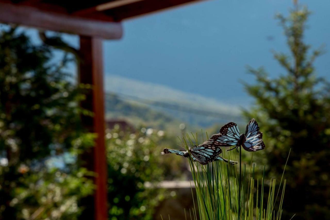 Villa Zvonimir Zagvozd Eksteriør bilde